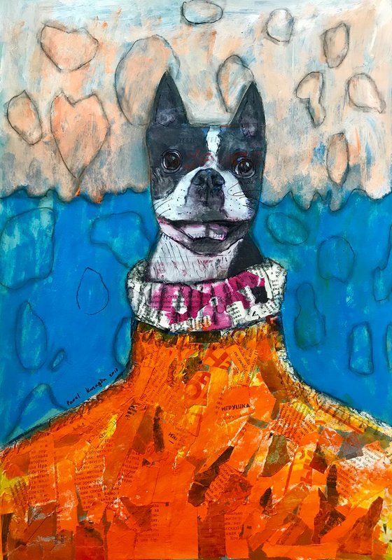 Boston terrier