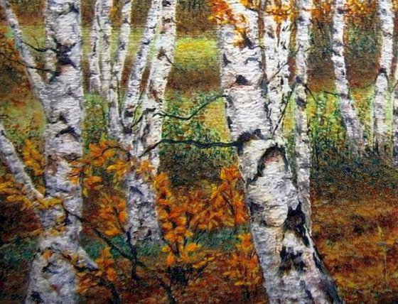 Birch trees in the forest ..