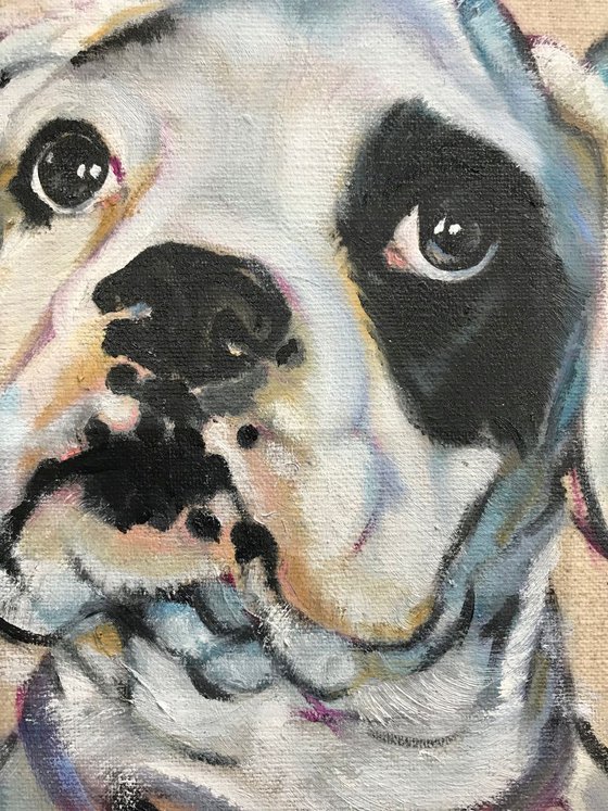 D4 Boxer Dog Original Oil Painting