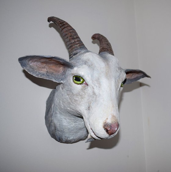 Goat Head