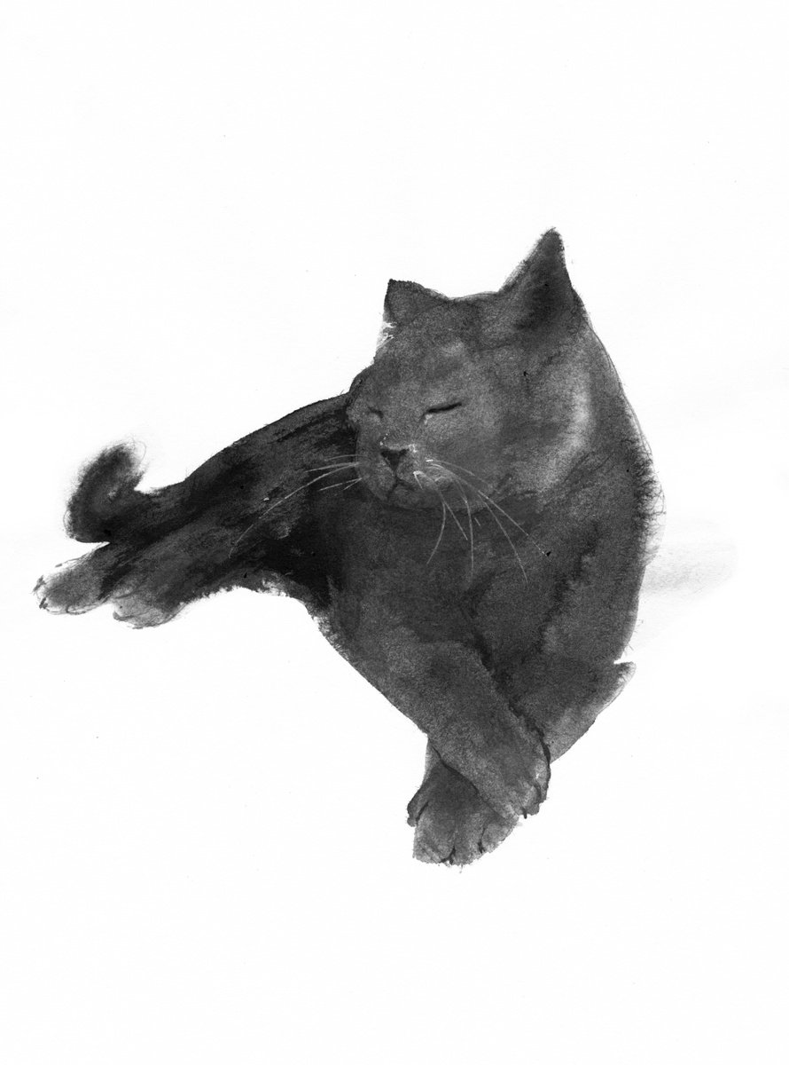 Expressive Animal Ink Drawing By Doriana Popa, 7 X 9, Cat Sleeping Ii, Original Artwork