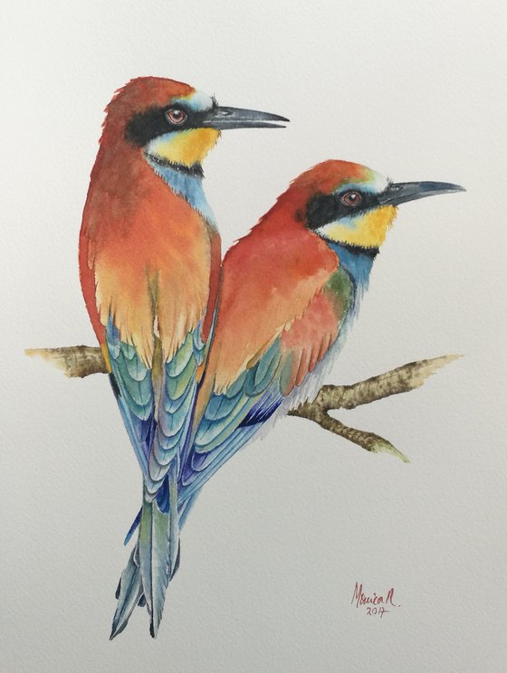 European Bee-Eaters