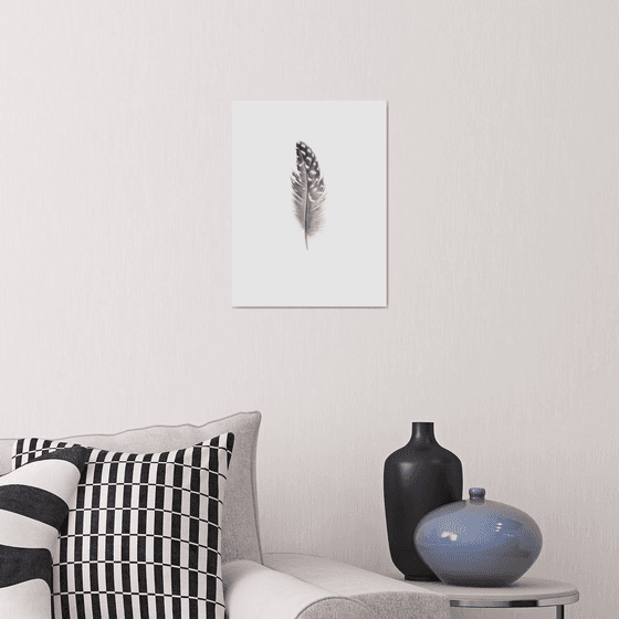 Guinea fowl feather Drawing