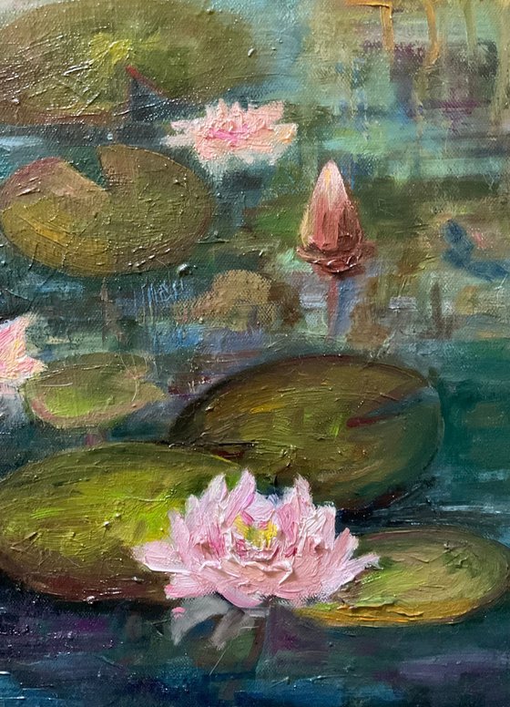 EVENING WATER LILIES