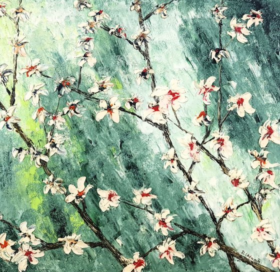 Cherries in bloom 1