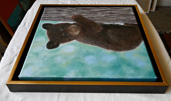 Bear Cub