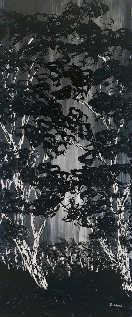 Birch Eclipse 1 by Daniel Urbaník