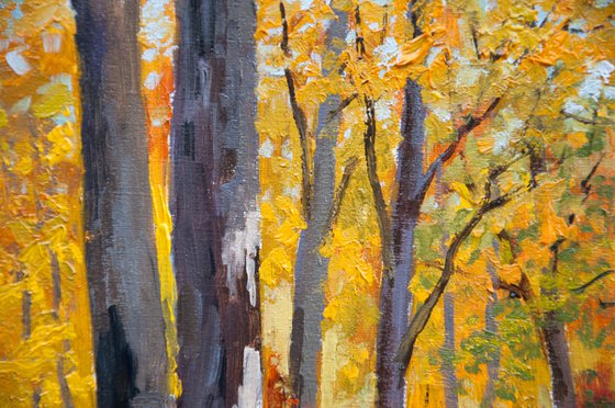 Autumn forest. Oil painting. Fall landscape. Original Art. 14 x 16in.
