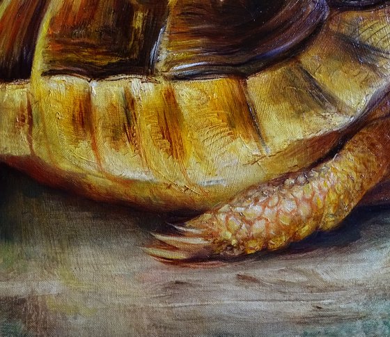 Turtle Spirit