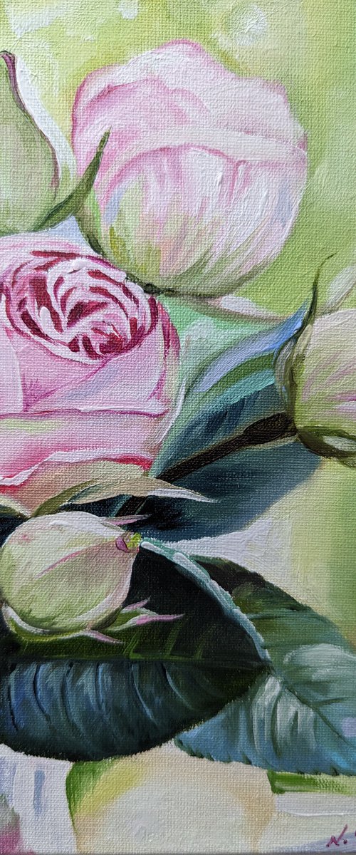 Delicate Pink Roses by Natalia Shaykina