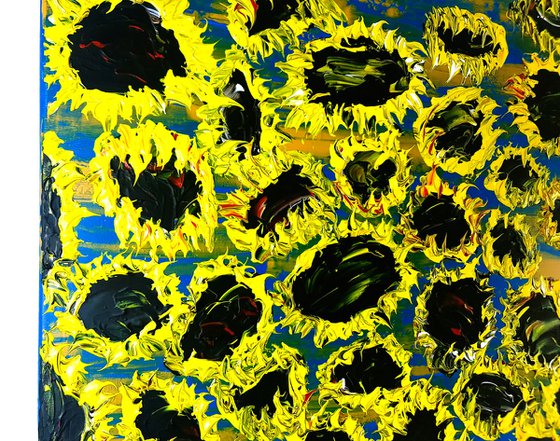 Blooming sunflowers 7