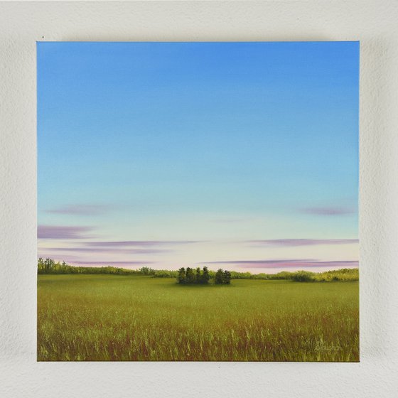 Green Meadow - Blue Sky Landscape