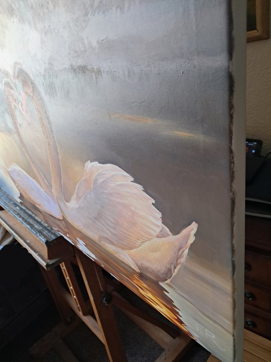 DAWN'S WHITE DUET