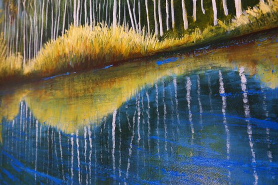 The Mirror of trees