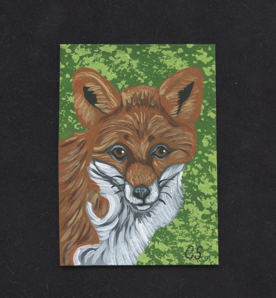 ACEO ATC Original Miniature Painting Red Fox Wildlife Art-Carla Smale