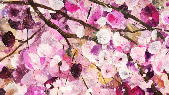Cherry Blossom Serenade