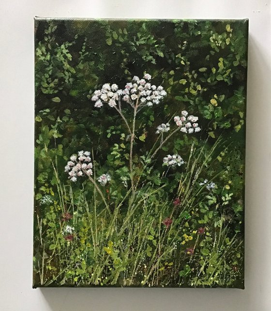 Devon Hedgerow