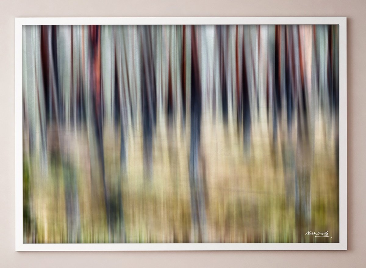 Abstract Landscape Photograph By Karim Carella, 25 X 17", Metsa? (Studio 6) - Rth, Original Artwork