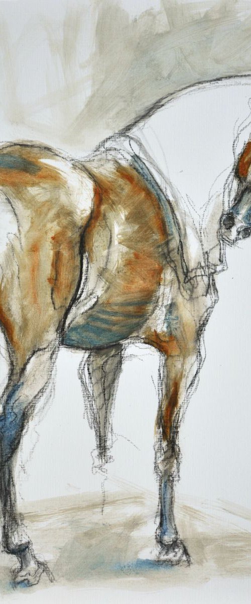 Equine Life 1 by Benedicte Gele