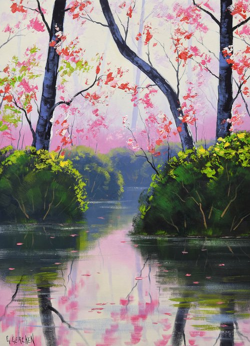 Pink blossom trees by Graham Gercken