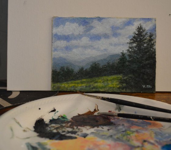 Blue Ridge Mountain Meadow # 2 - 5X7 oil (SOLD)