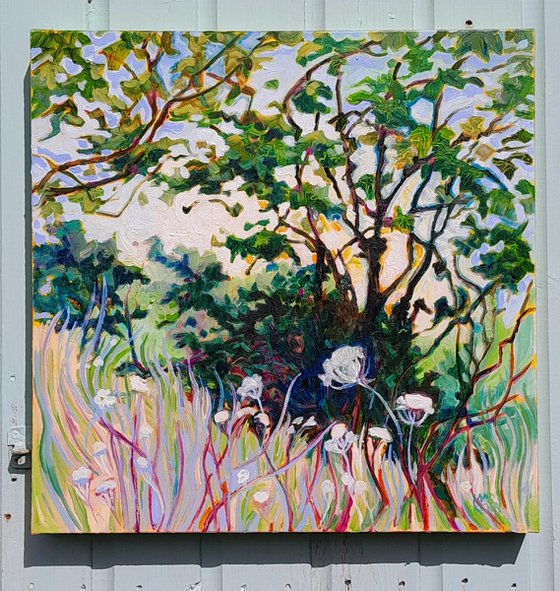Meadow's Edge, Rural Landscape