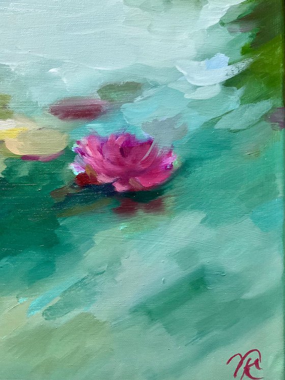 TENDER WATER LILY