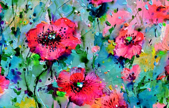 Wild Red Poppy, Poppies Field
