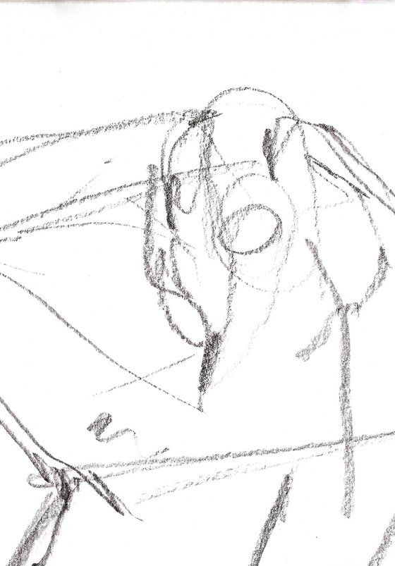 Study 10; Figure Drawing
