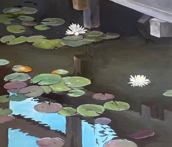 Under the bridge. Water lilies