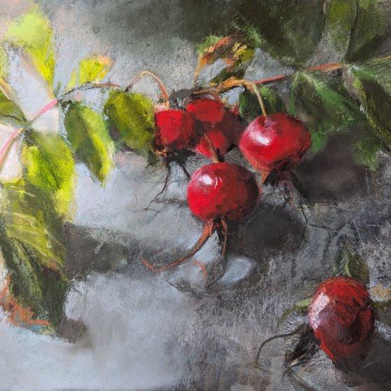 Rosehips