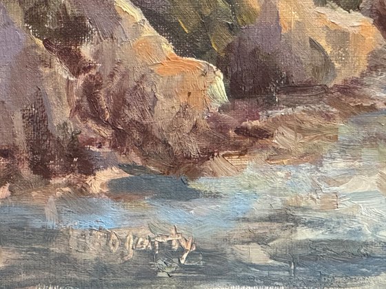 Coastal View From the Bluffs