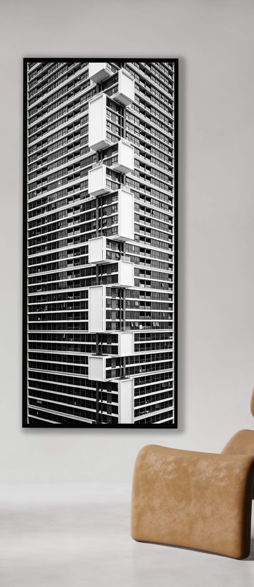 Zebra by Serge Horta