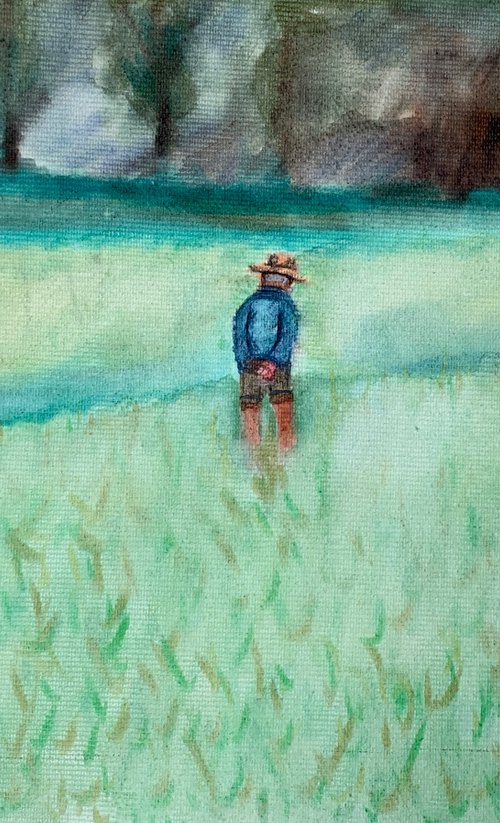 Rice Fields by Ryan  Louder