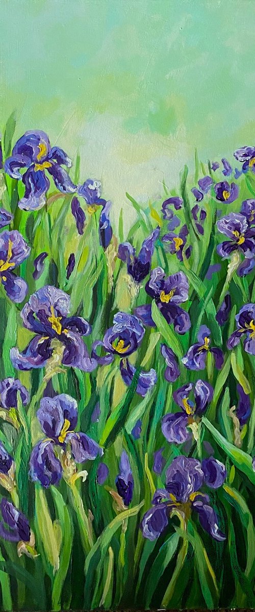Iris Garden by Colette Baumback