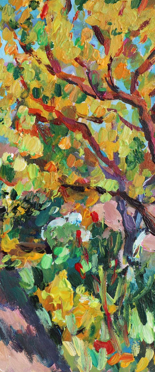 autumn, backyard by Dima Braga