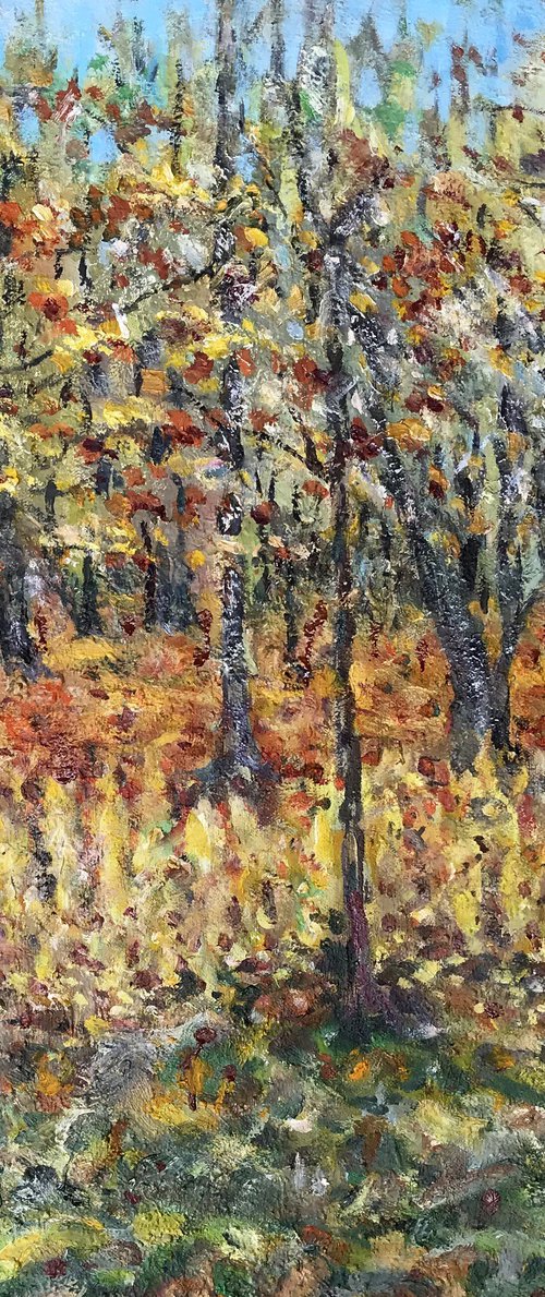 Autumn motif by Ivan Shapoval
