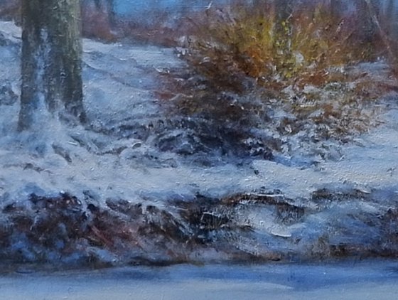 A sunny winters day