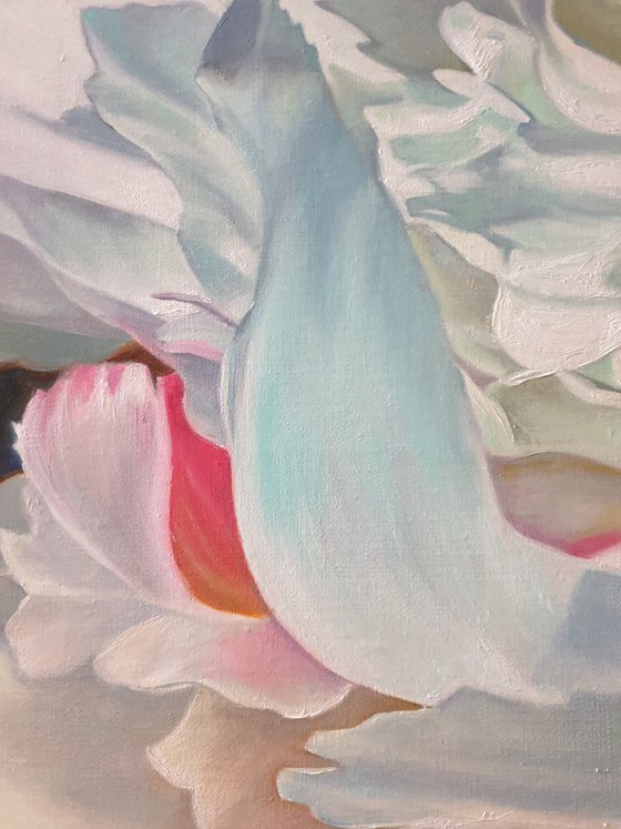 "Delicate petals. "   peonies flower 2021