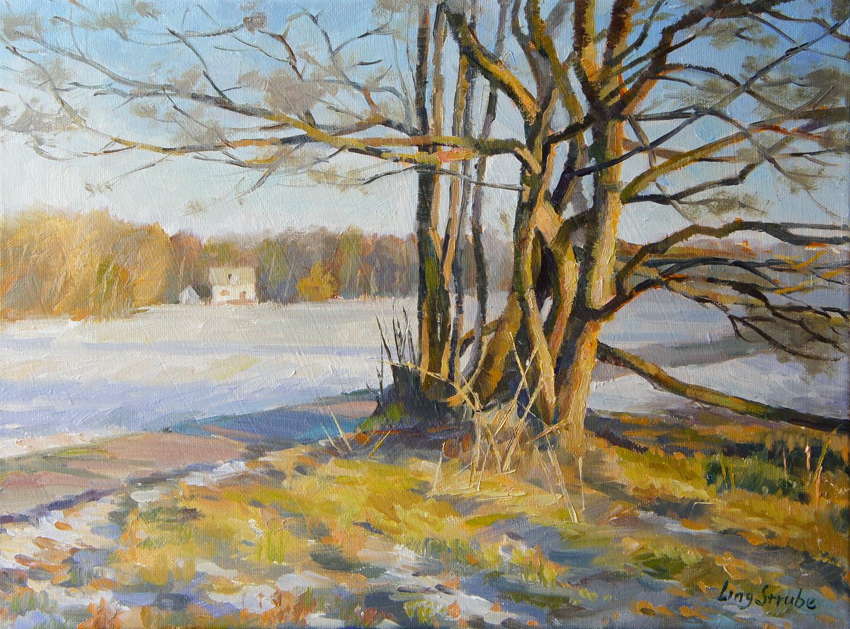 Winter Field By Ling Strube, 16 X 12, Artwork For Sale On Artfinder