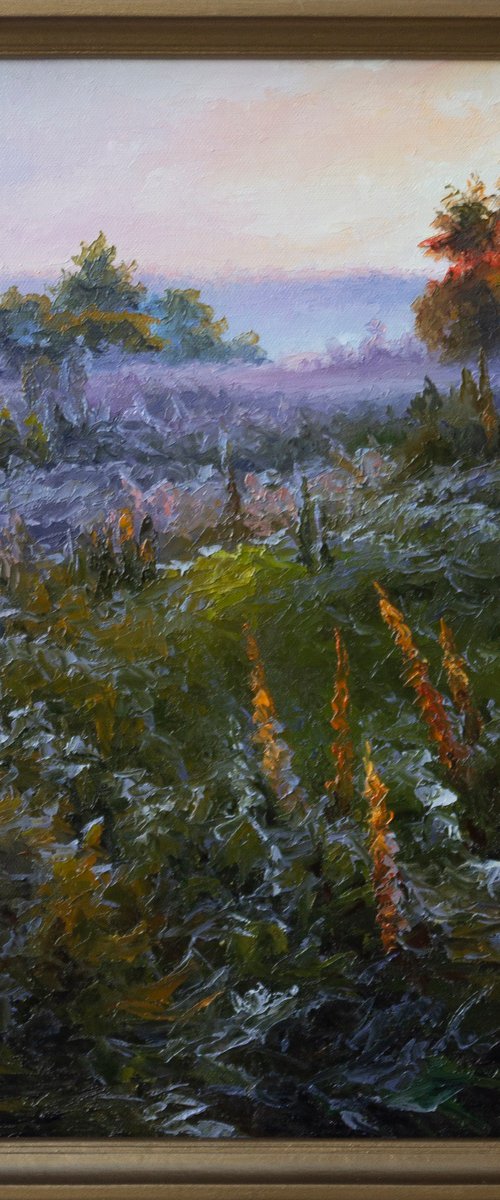 MORNING 14 by Oleksii Vylusk