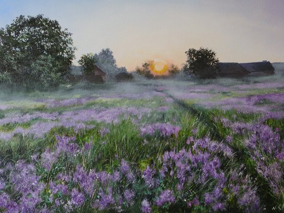 Rustic Sunrise, Purple Meadow