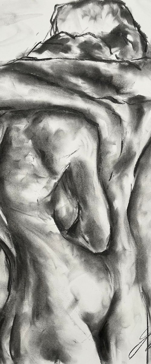 Creation by James Shipton