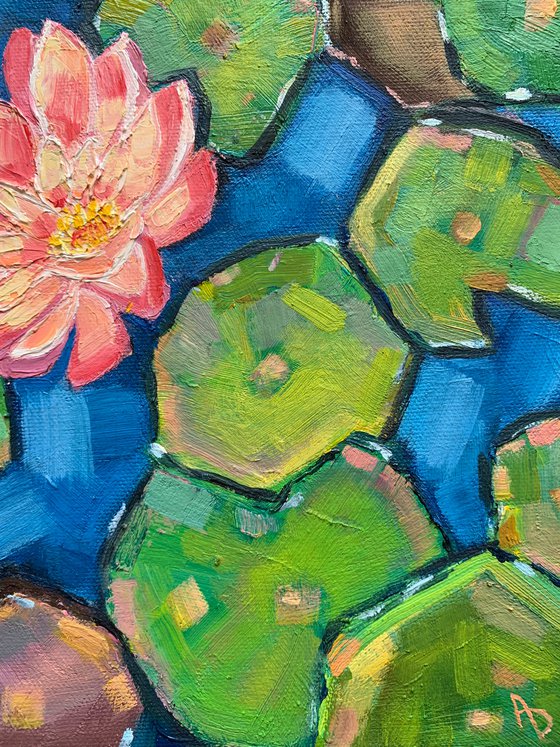 2 Water lilies