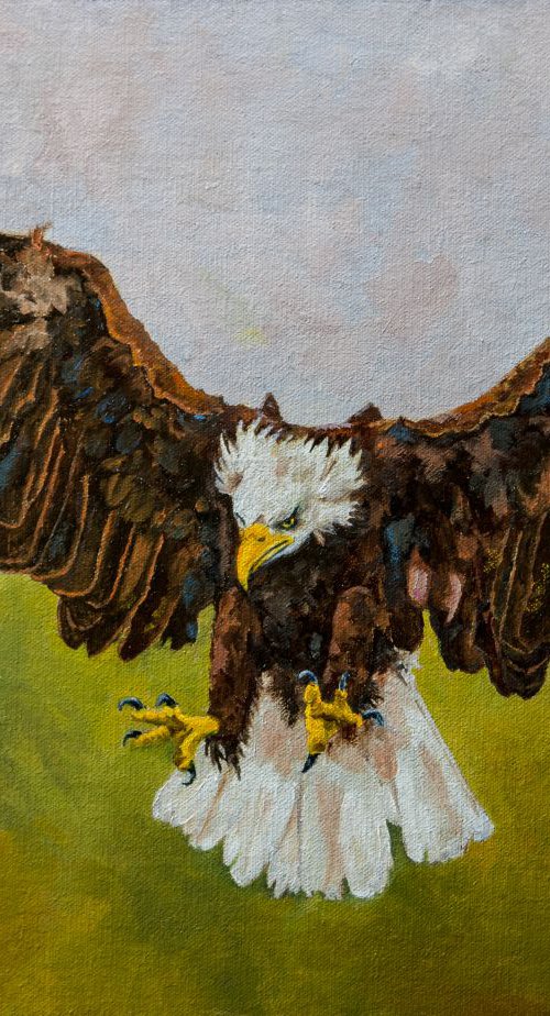 Warrior Eagle by Dan Twitchell, OPA, AIS