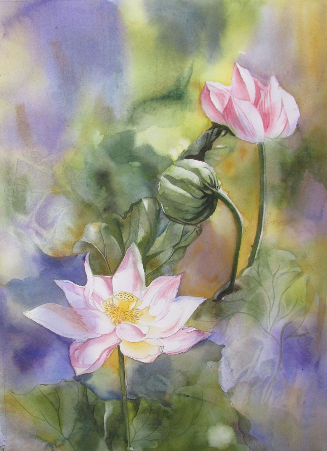 lotus watercolor Watercolour by Alfred Ng | Artfinder