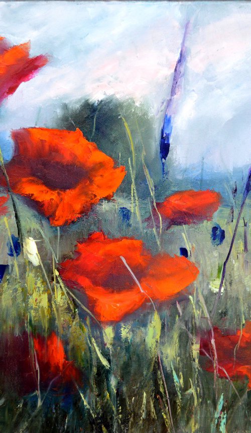 Poppy meadow by Elena Lukina