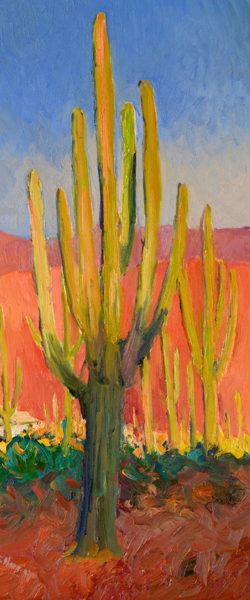Saguaro. Early evening by Suren Nersisyan