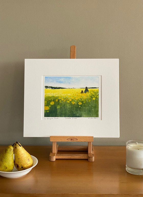 Canola Field