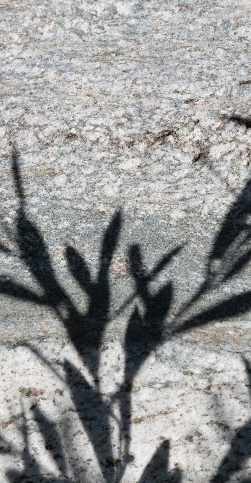Shadows on the Stone 1 by Dieter Mach